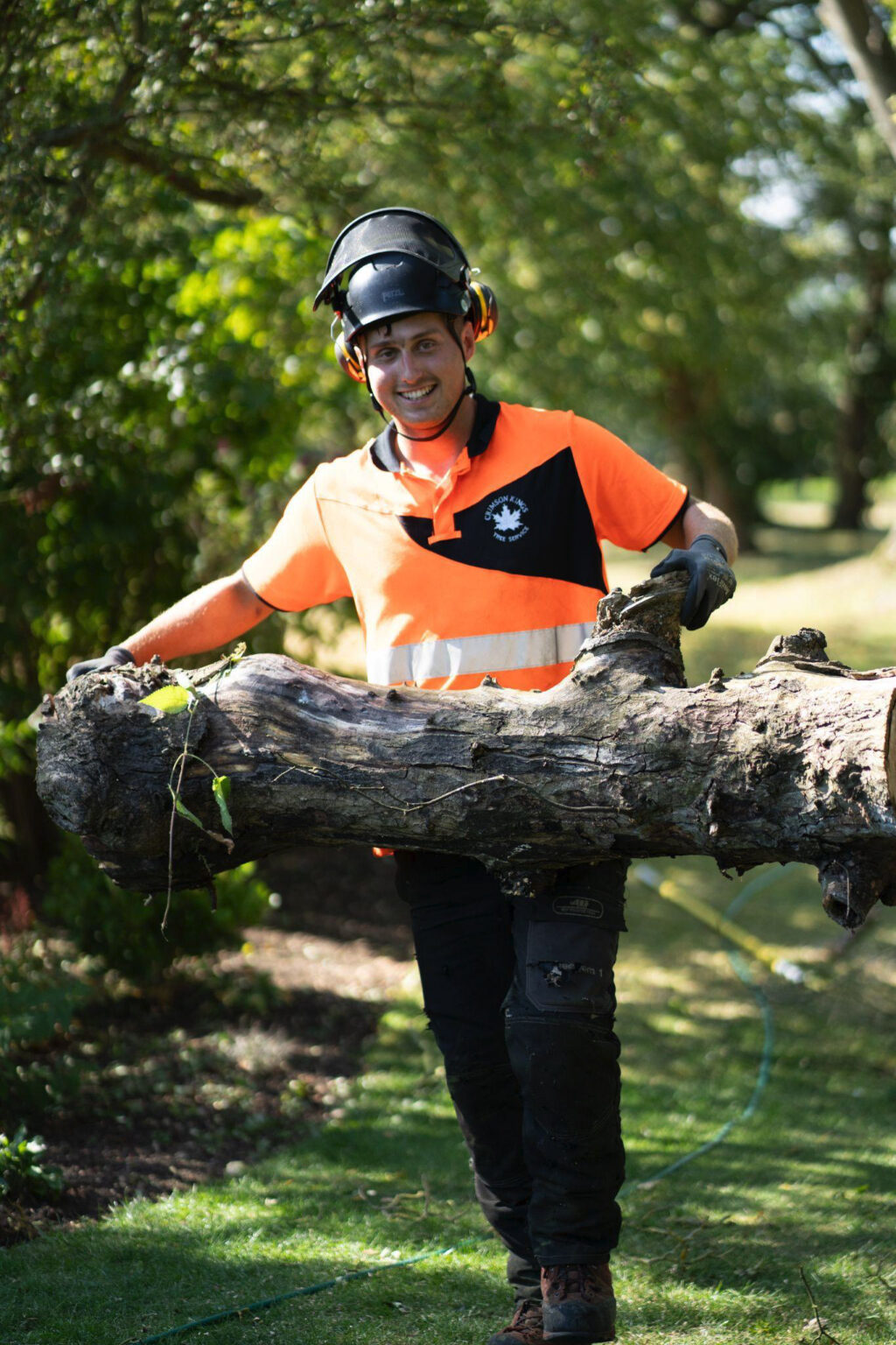 About Us | Expert Tree Management & Arboriculture Services