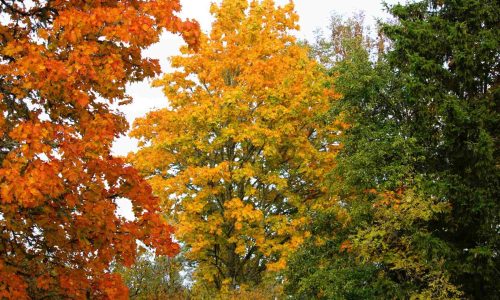 october blog 4-200kb